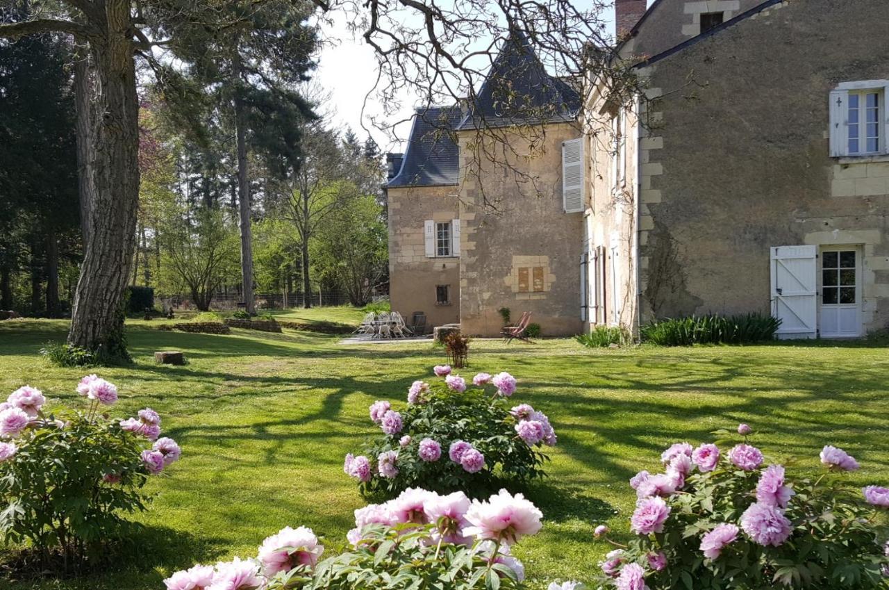 Bed and Breakfast Manoir Du Bellay Montreuil-Bellay Zewnętrze zdjęcie
